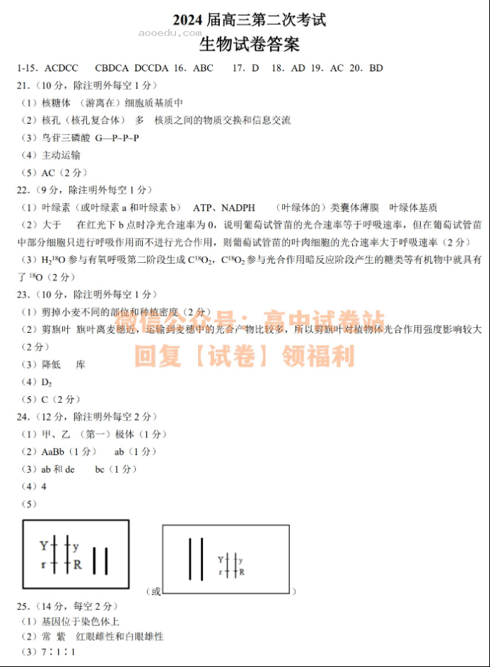 辽宁渤海大学附中2024高三第二次考试生物试题及答案解析