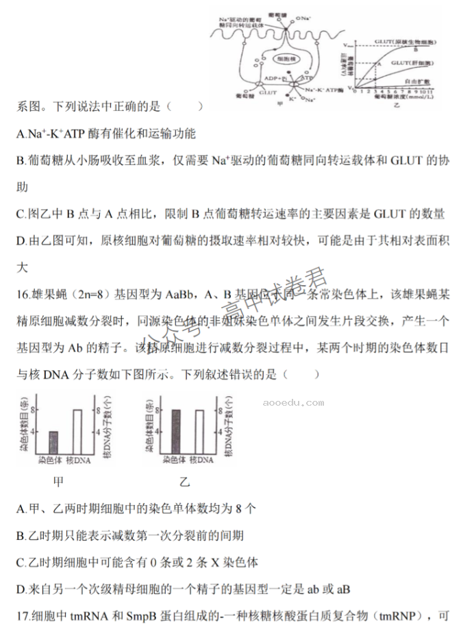 江苏淮安五校联盟2024高三10月联考生物试题及答案解析