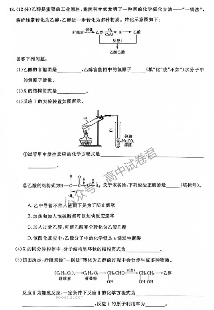 河南新未来2024高三上学期10月联考化学试题及答案解析