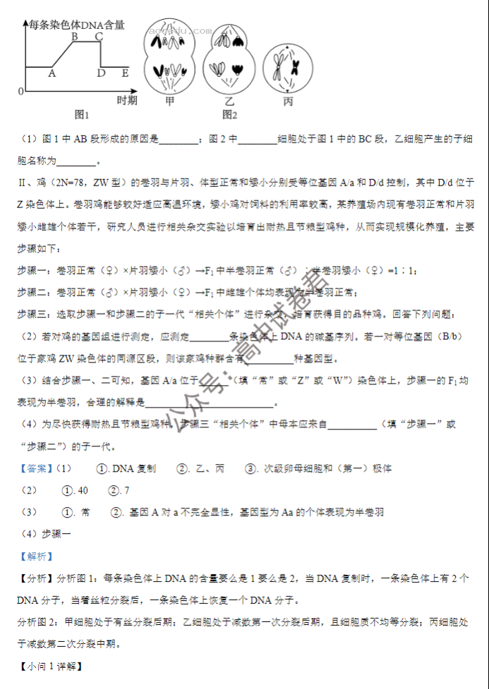 大连市滨城高中联盟2024高三期中考试生物试题及答案解析