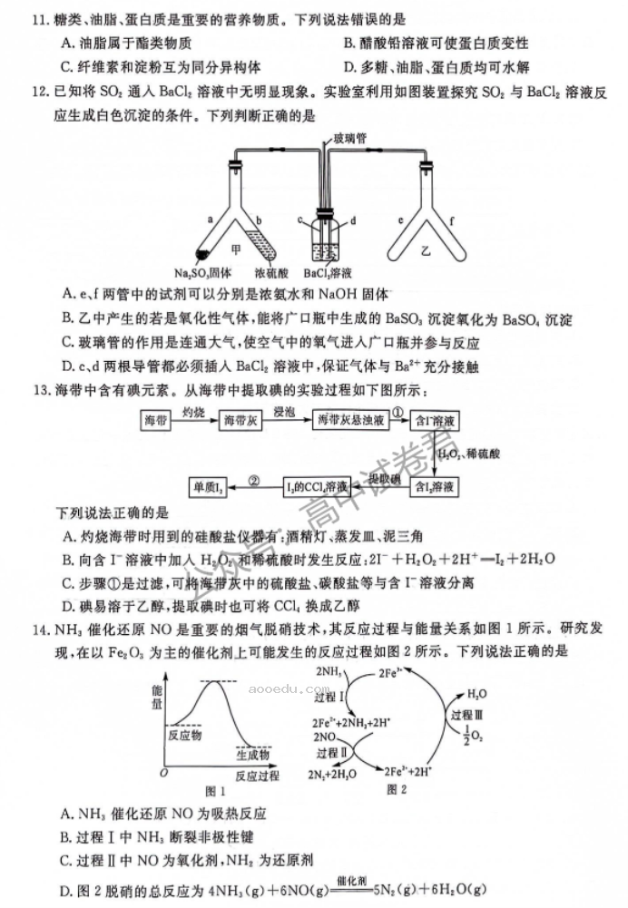 河南新未来2024高三上学期10月联考化学试题及答案解析