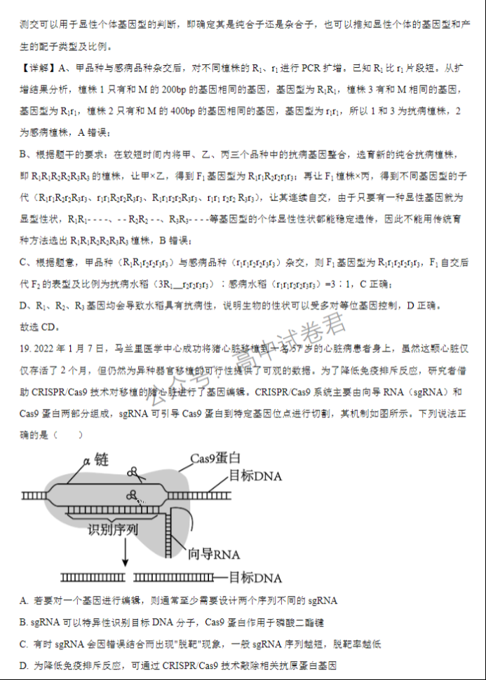 江苏扬州中学2024高三上学期10月月考生物试题及答案解析