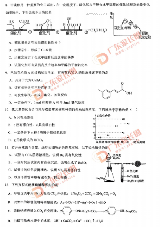 广东四校2024高三10月联考(二)化学试题及答案解析