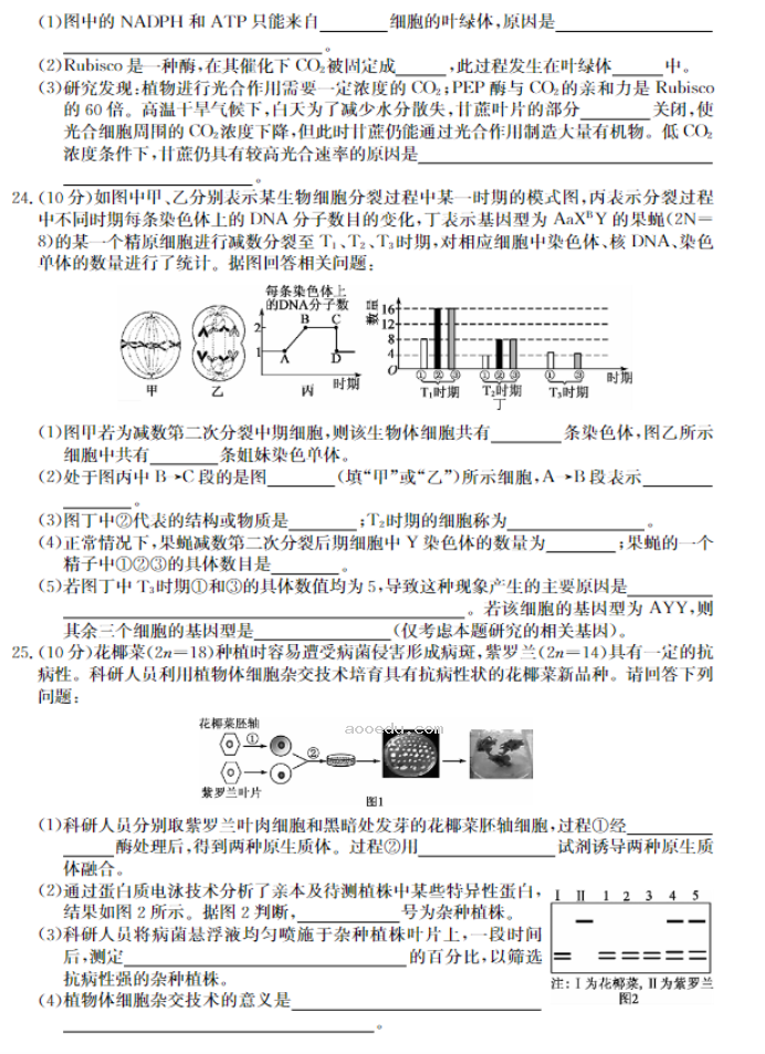 牡丹江二中2024高三第二次阶段性考试生物试题及答案解析