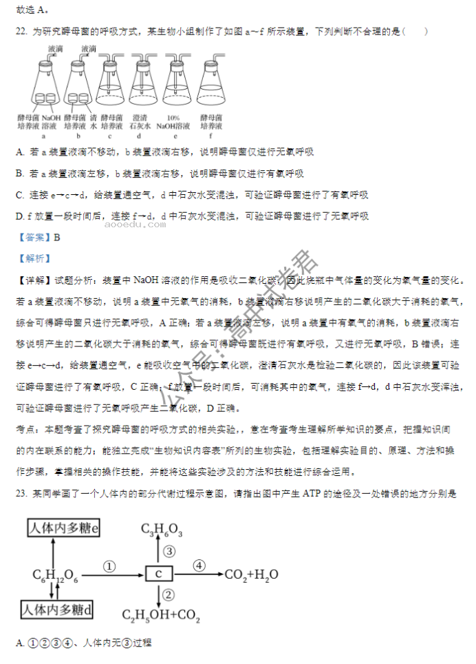 山西大同一中2024高三上学期10月月考生物试题及答案解析