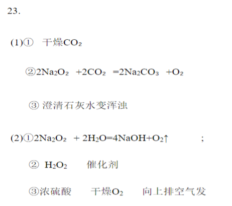 北师大实验学校2024高三第一阶段评估化学试题及答案解析