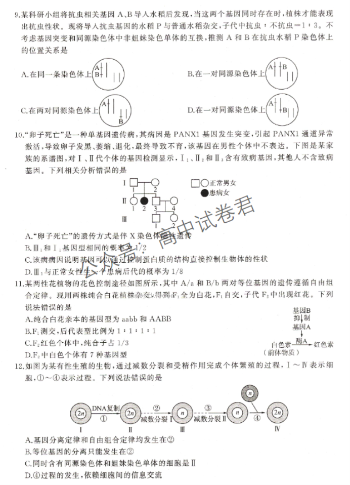 新教材百师联盟2024高三10月联考二生物试题及答案解析