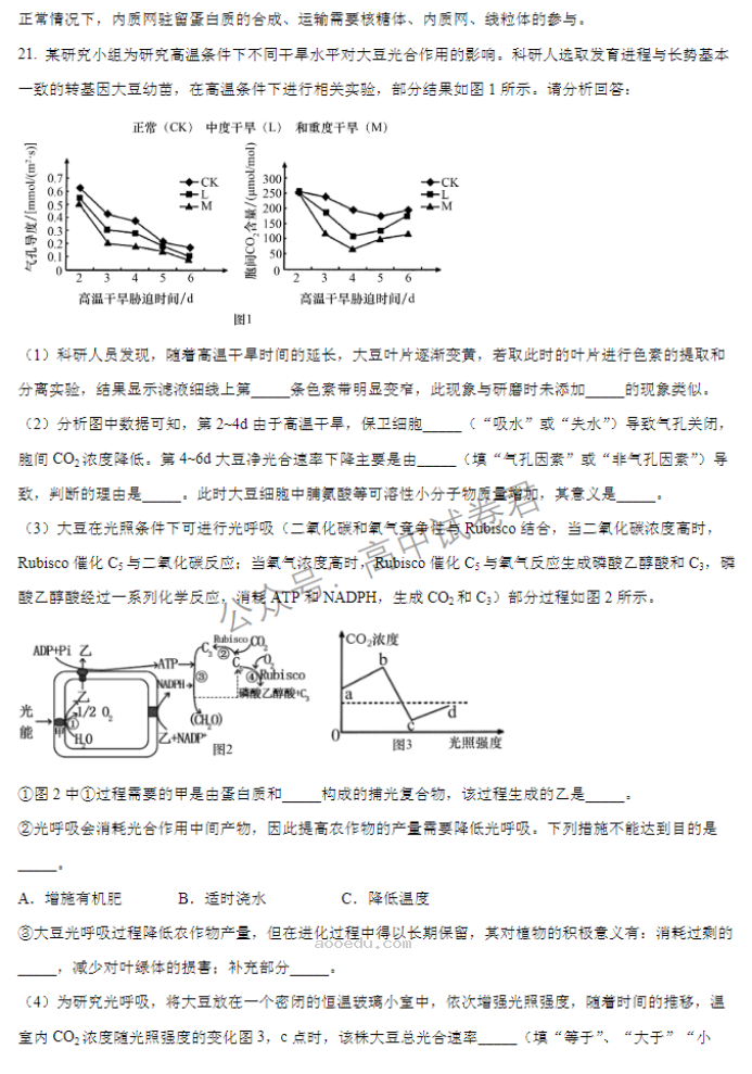 江苏扬州中学2024高三上学期10月月考生物试题及答案解析