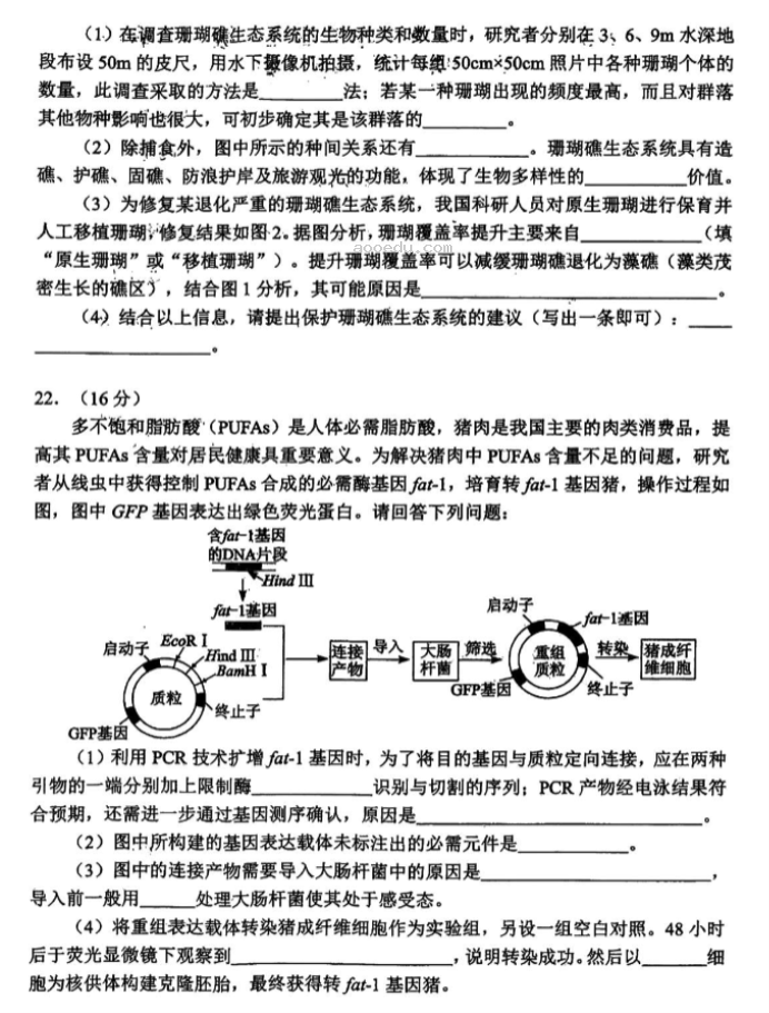 湖北腾云联盟2024高三10月联考生物试题及答案解析