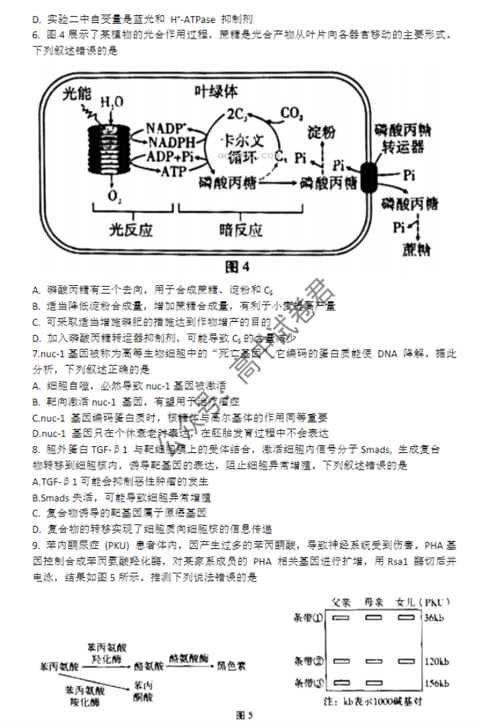 重庆巴蜀中学2024高考适应性月考三生物试题及答案解析