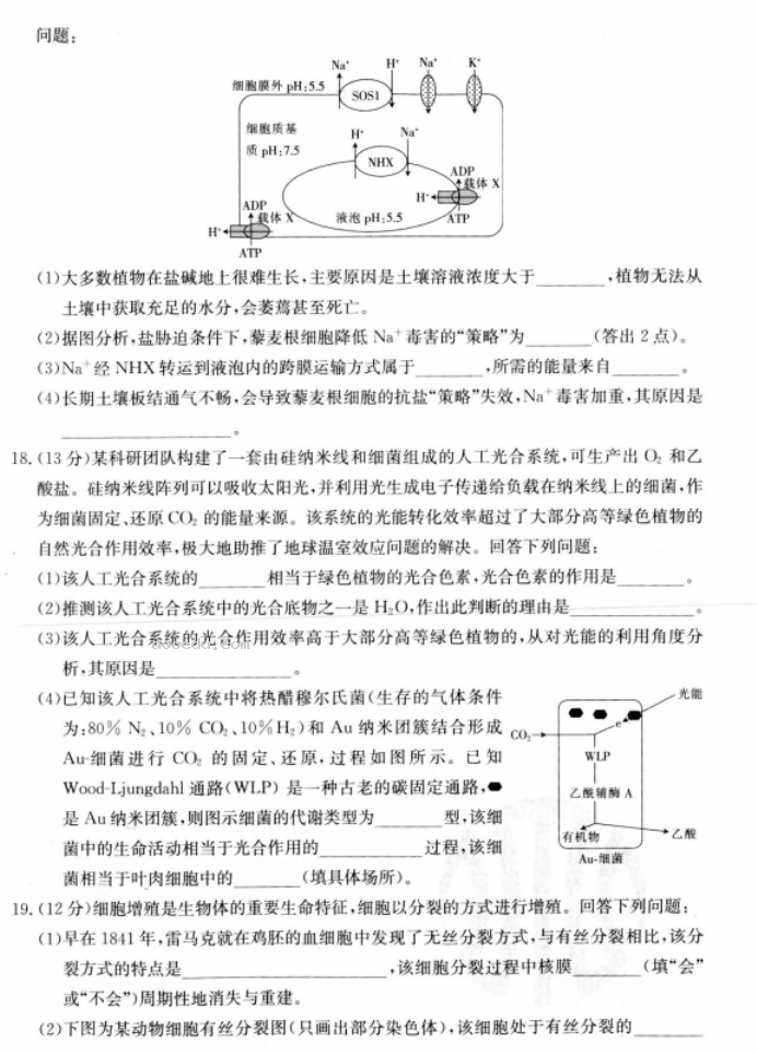 江苏广东福建2024高三金太阳10月百万联考生物试题及答案