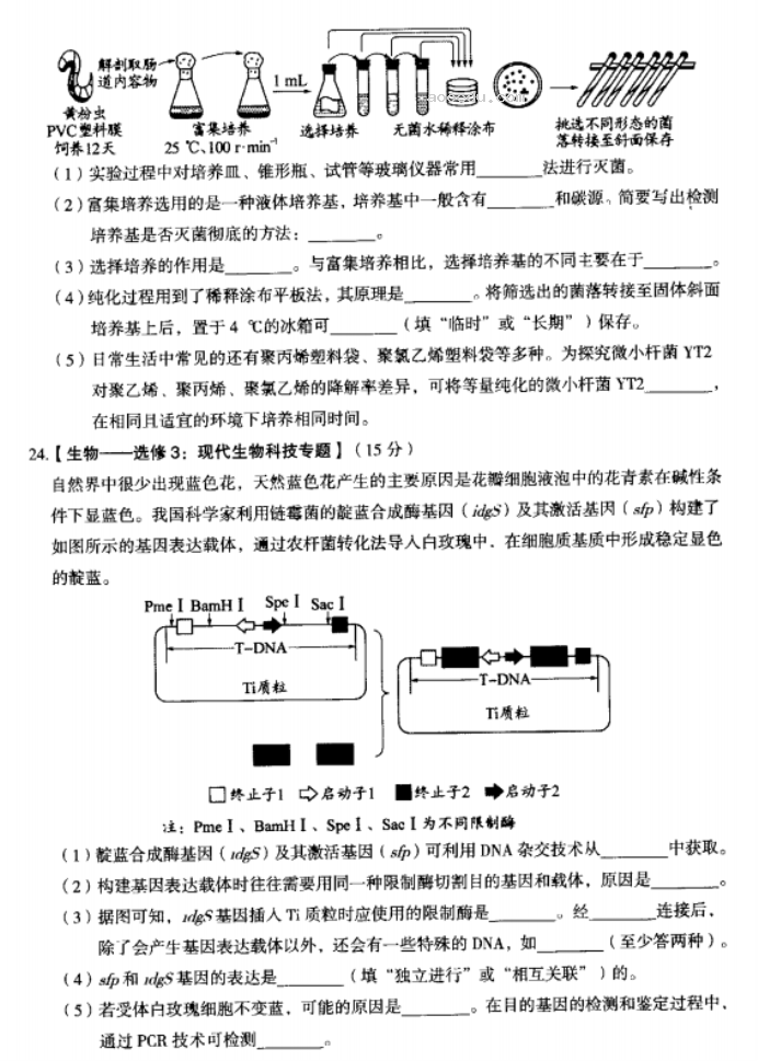 内蒙古赤峰2024高三10月一轮复习联考生物试题及答案解析