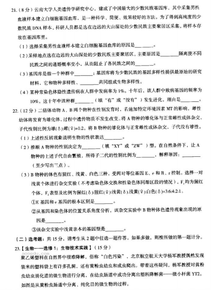 内蒙古赤峰2024高三10月一轮复习联考生物试题及答案解析