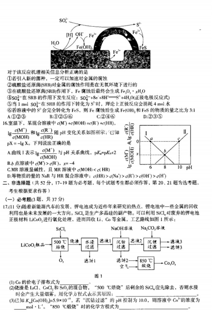 内蒙古赤峰2024高三10月一轮复习联考化学试题及答案解析