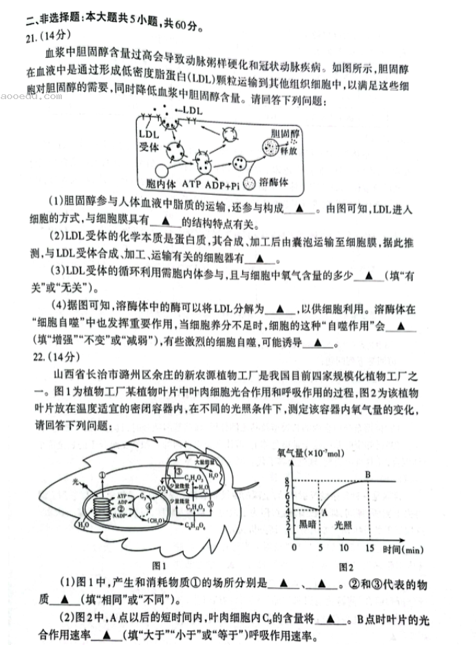 山西大同2024高三10月第二次摸底考试生物试题及答案解析