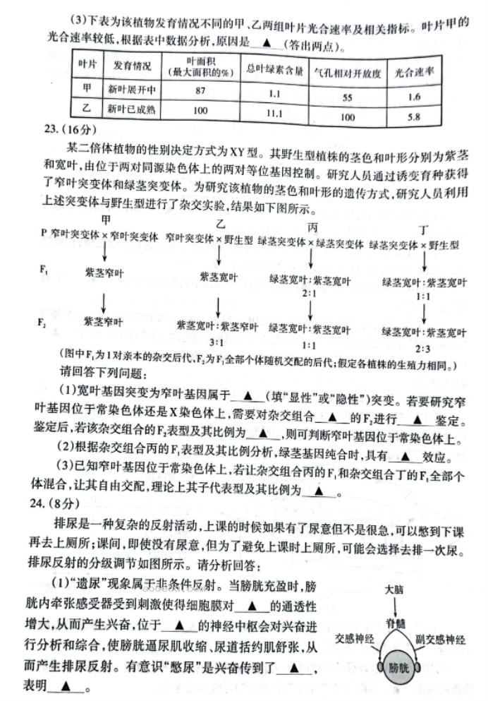 山西大同2024高三10月第二次摸底考试生物试题及答案解析