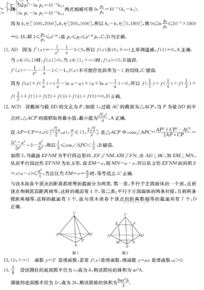 广东金太阳2024高三10月联考数学试题及答案解析