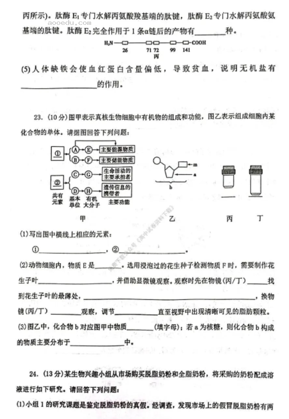 苏州八校联盟2023高一10月联合调研测试生物试题及答案