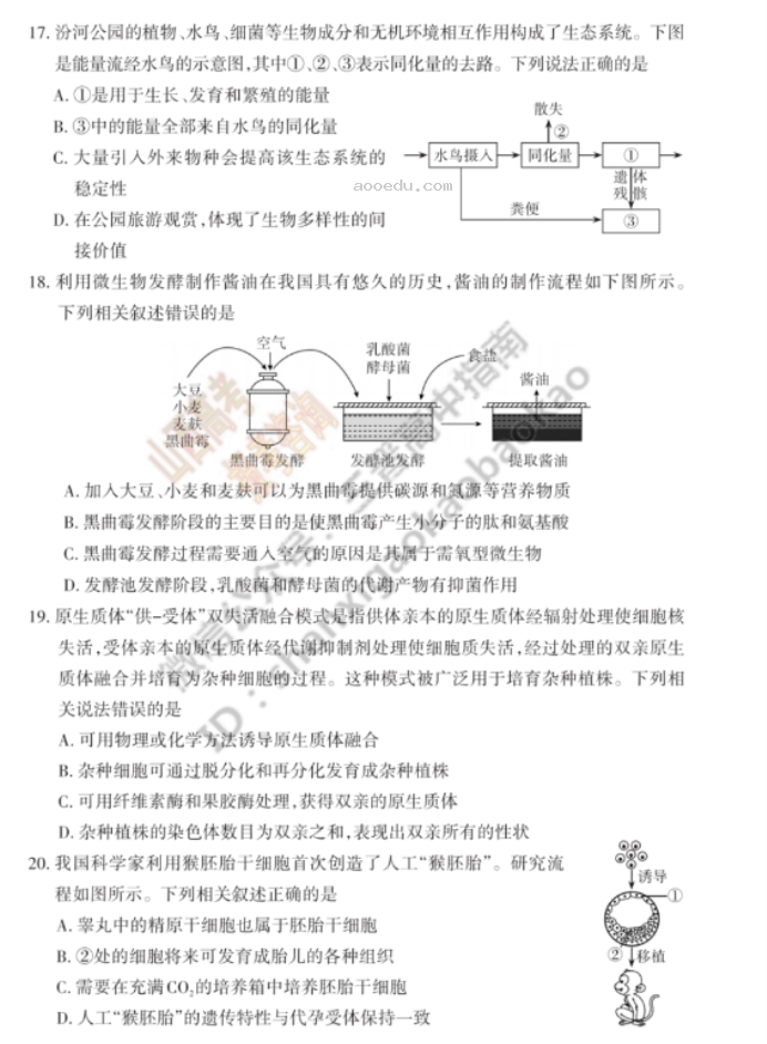 山西思而行2024高三一轮复习中期考试生物试题及答案解析