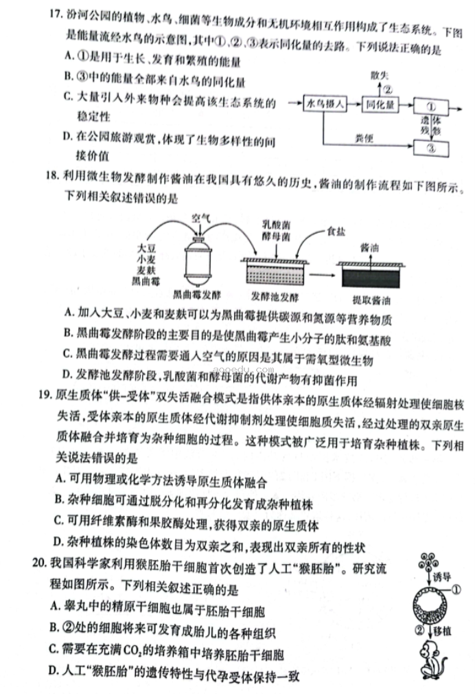 山西大同2024高三10月第二次摸底考试生物试题及答案解析