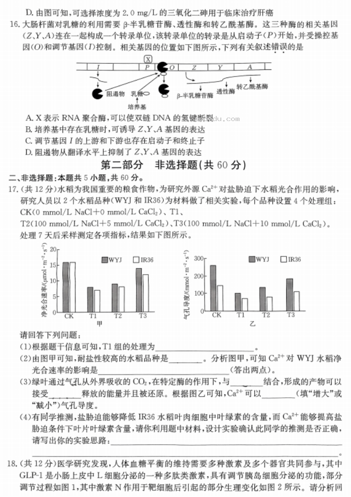 广东湛江2024高三毕业班10月调研考生物试题及答案解析