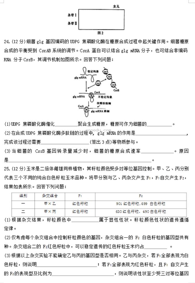 陕西汉中金太阳2024高三第四次联考生物试题及答案解析