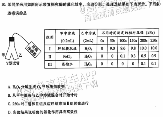 广州越秀区2024高三10月调研考生物试题及答案解析