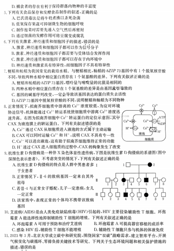 广东湛江2024高三毕业班10月调研考生物试题及答案解析