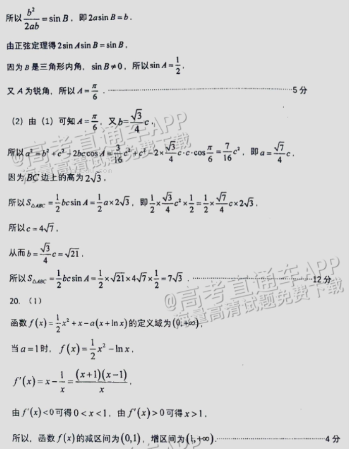 广州天河从化区2024高三10月调研考数学试题及答案解析