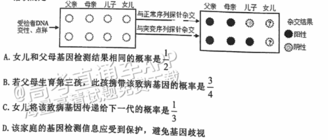 广州花都区2024高三10月调研考生物试题及答案解析