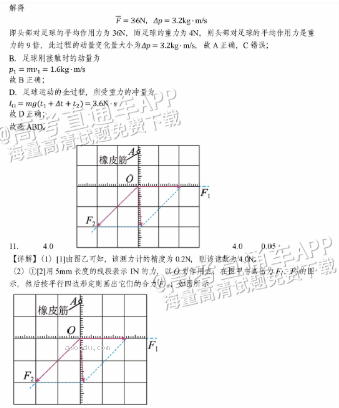 广州天河从化区2024高三10月调研考物理试题及答案解析