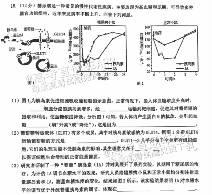 广州花都区2024高三10月调研考生物试题及答案解析