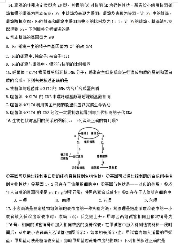 陕西汉中金太阳2024高三第四次联考生物试题及答案解析