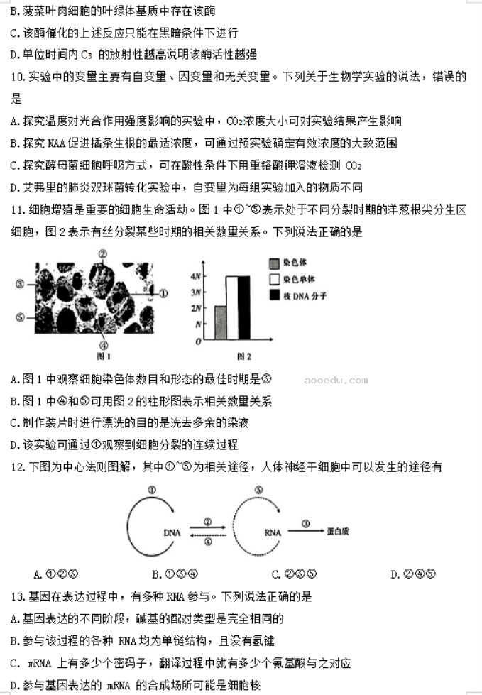 陕西汉中金太阳2024高三第四次联考生物试题及答案解析