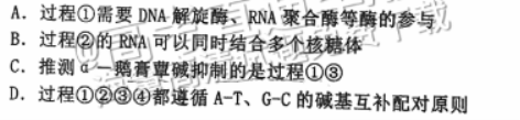 广州花都区2024高三10月调研考生物试题及答案解析