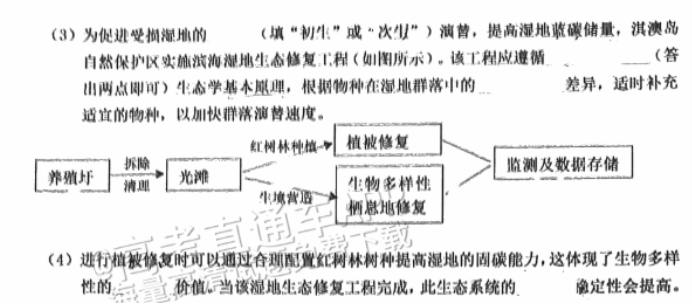 广州花都区2024高三10月调研考生物试题及答案解析