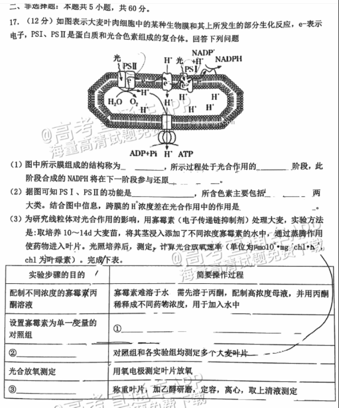 广州花都区2024高三10月调研考生物试题及答案解析