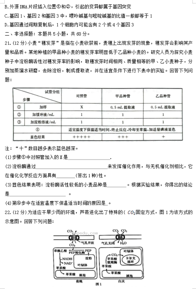 陕西汉中金太阳2024高三第四次联考生物试题及答案解析