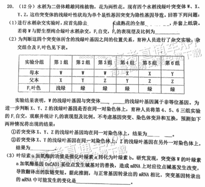 广州花都区2024高三10月调研考生物试题及答案解析