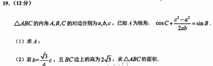 广州天河从化区2024高三10月调研考数学试题及答案解析