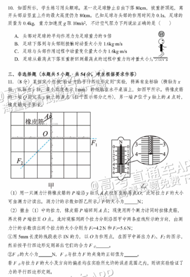 广州天河从化区2024高三10月调研考物理试题及答案解析