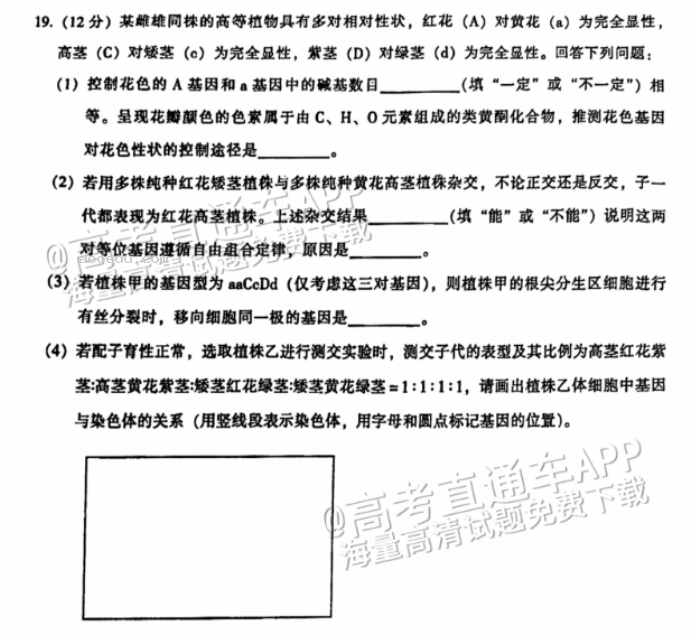 广州越秀区2024高三10月调研考生物试题及答案解析