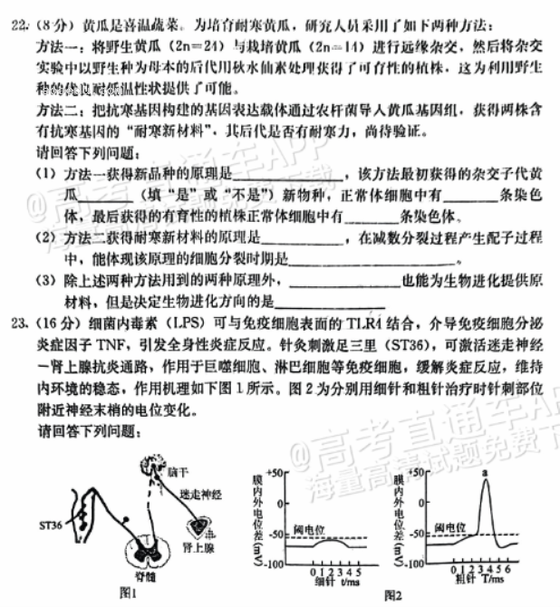 河北保定部分高中2024高三10月摸底考生物试题及答案解析