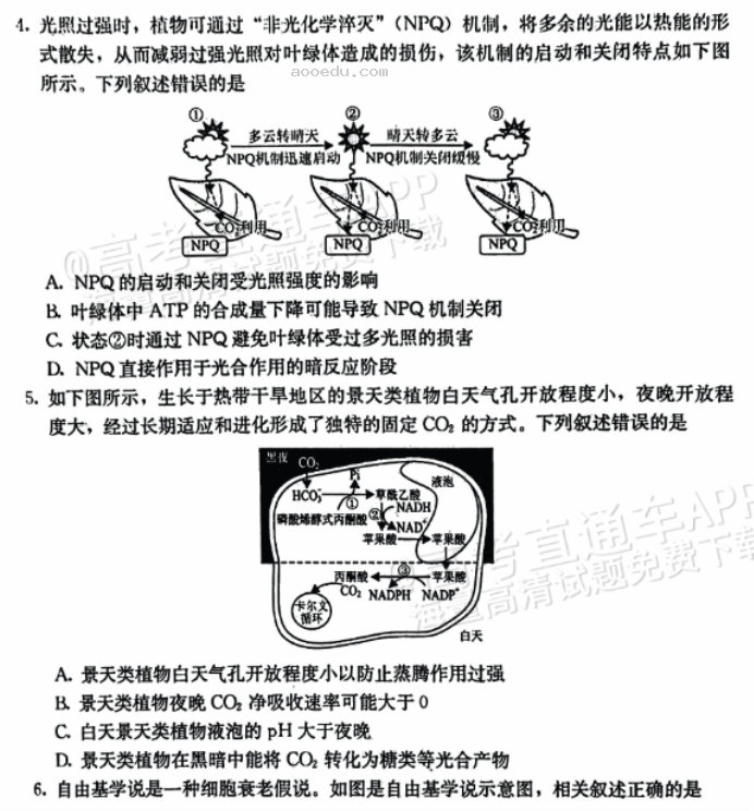 河北保定部分高中2024高三10月摸底考生物试题及答案解析