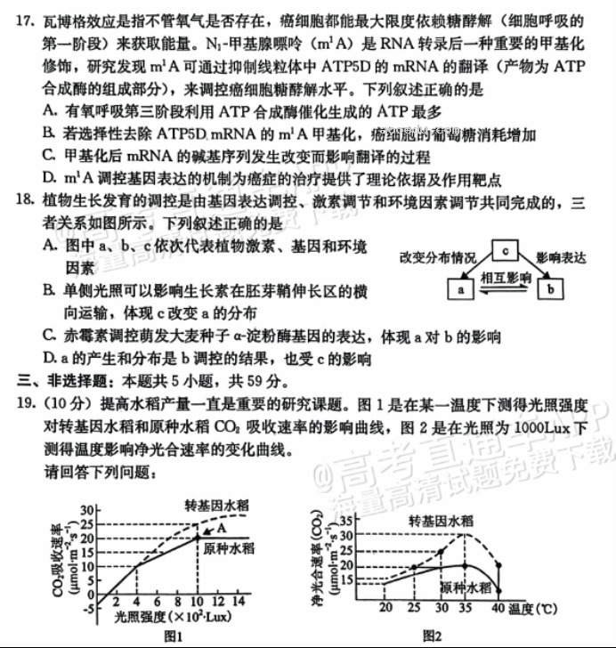 河北保定部分高中2024高三10月摸底考生物试题及答案解析