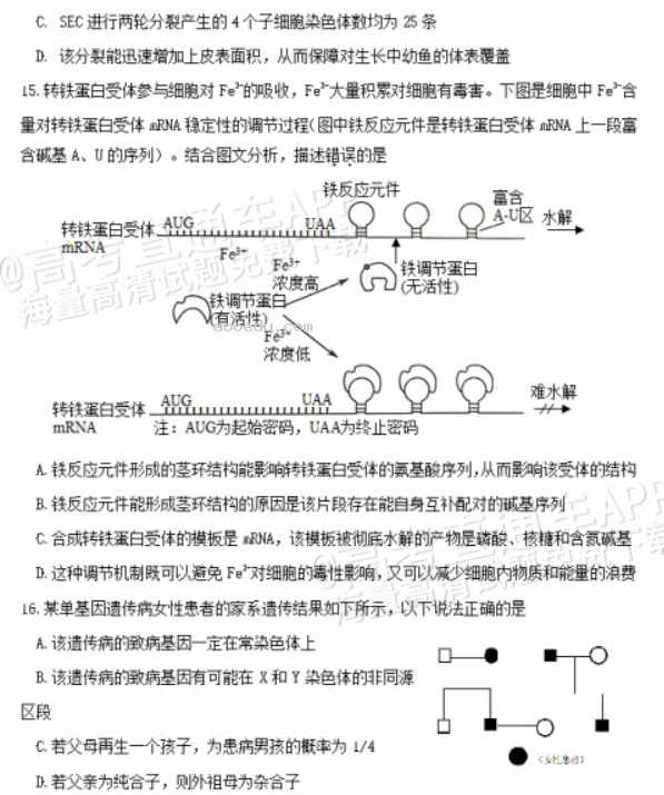 广东惠州2024高三10月第二次调研考生物试题及答案解析