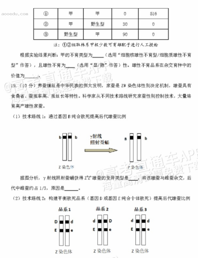 广东惠州2024高三10月第二次调研考生物试题及答案解析