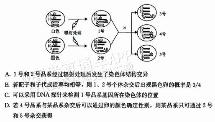 河北保定部分高中2024高三10月摸底考生物试题及答案解析