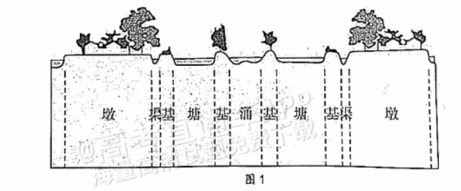 广东江门普通高中2024高三调研测试地理试题及答案解析