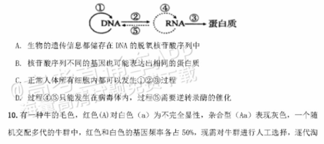 广东惠州2024高三10月第二次调研考生物试题及答案解析